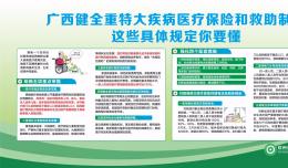 廣西健全重特大疾病醫(yī)療保險(xiǎn)和救助制度這些具體規(guī)定你要懂