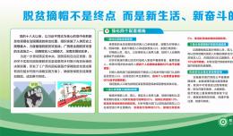 脫貧摘帽不是終點(diǎn) 而是新生活新奮斗的起點(diǎn)